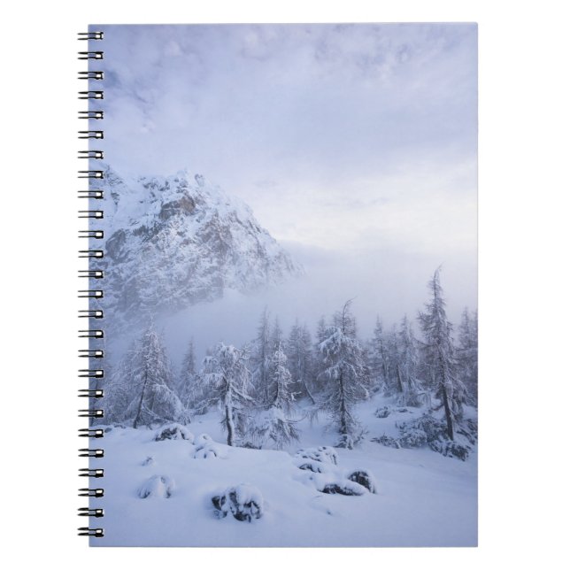 Cuaderno Tierras maravillosas del invierno, niebla, bosque  (Frente)
