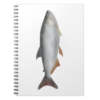 Cuaderno Tiete tetra