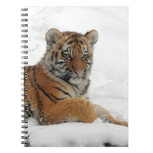 Cuaderno Tiger_2015_0102 (Frente)