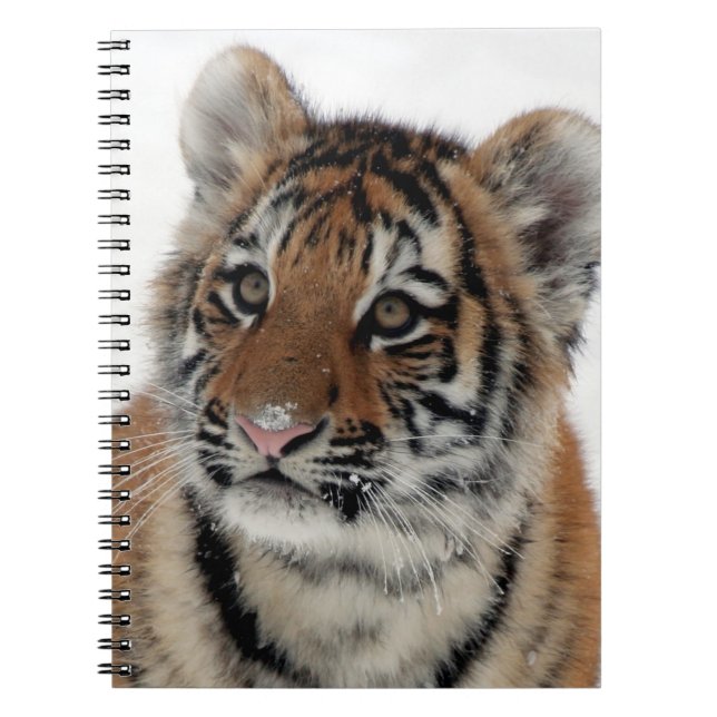 Cuaderno Tiger_2015_0114 (Frente)