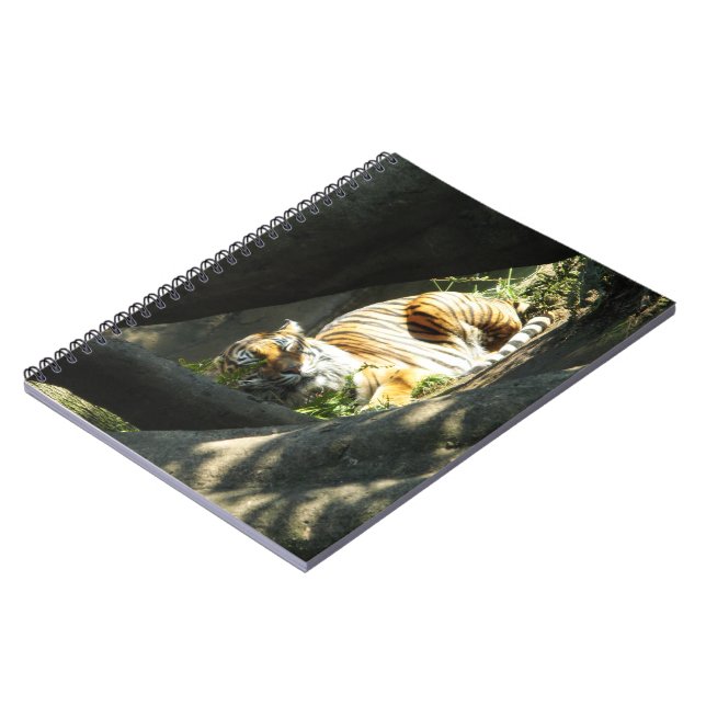 Cuaderno Tiger Catnap (Lado Izquierdo)