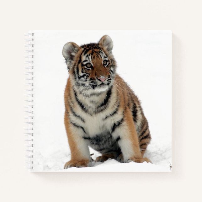 Cuaderno Tiger Cub in the Snow Photograph (Anverso)
