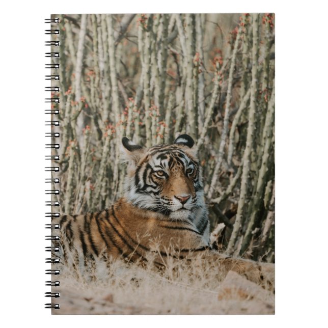 CUADERNO TIGER EN EL RESTAURANTE SALVAJE (Frente)