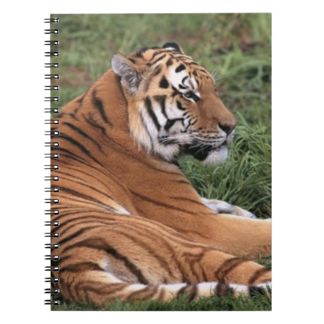 Cuaderno TIger Lounging en el bloc de notas de hierba (Frente)