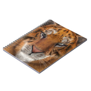 Cuaderno Tigre