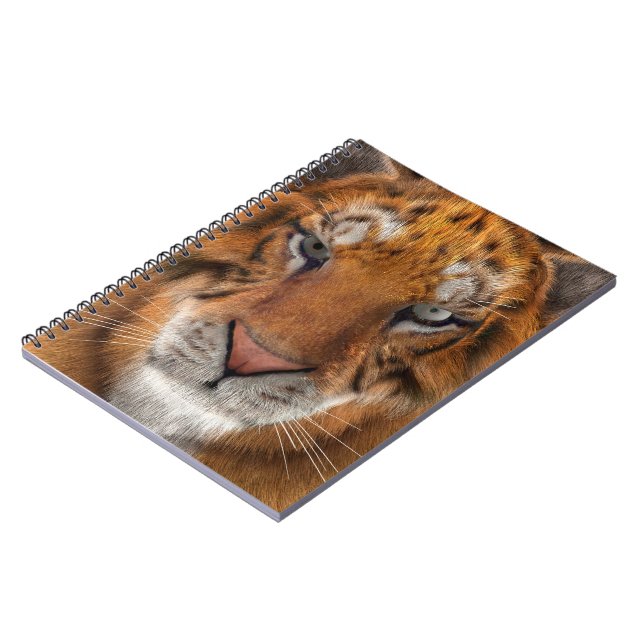 Cuaderno Tigre (Lado Izquierdo)