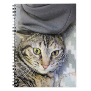 Cuaderno Tigre