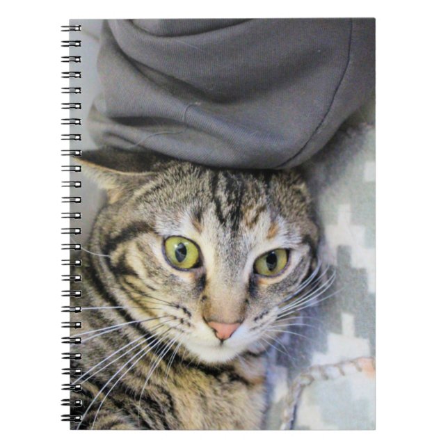 Cuaderno Tigre (Frente)