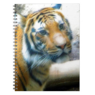 Cuaderno Tigre