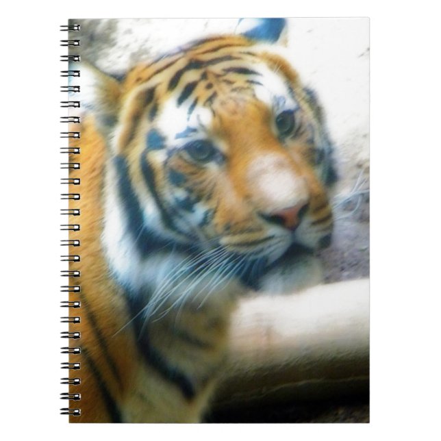 Cuaderno Tigre (Frente)