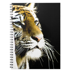 Cuaderno Tigre