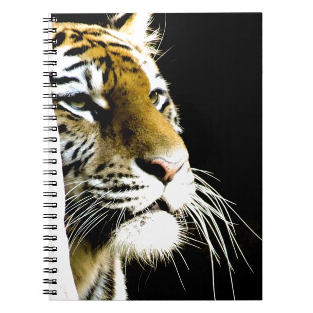 Cuaderno Tigre (Frente)