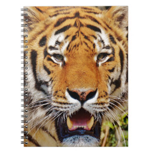 Cuaderno Tigre