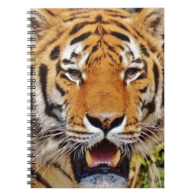 Cuaderno Tigre (Frente)
