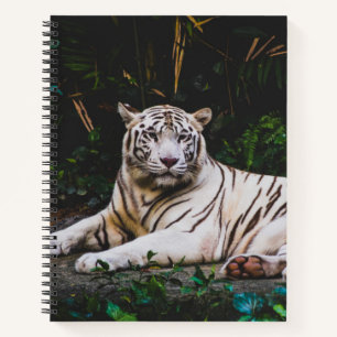 Cuaderno Tigre