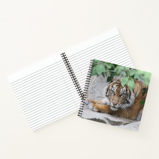 Cuaderno Tigre 008 (Interior)