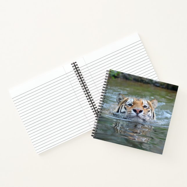 Cuaderno Tigre 028 (Interior)