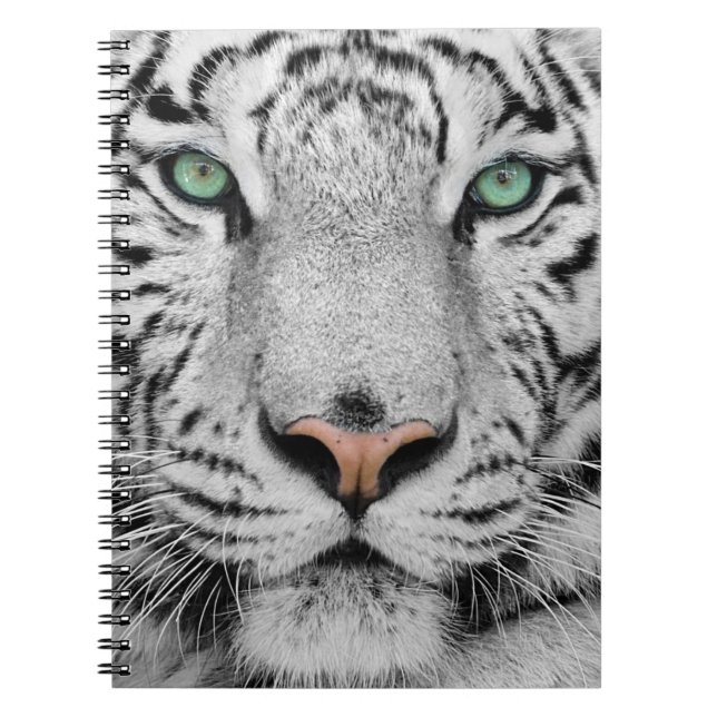 Cuaderno Tigre blanco (Frente)