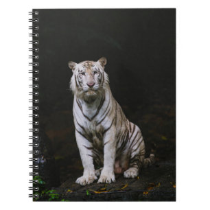 CUADERNO TIGRE BLANCO