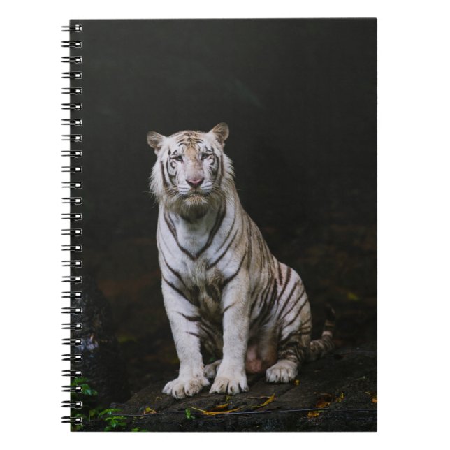 CUADERNO TIGRE BLANCO (Frente)