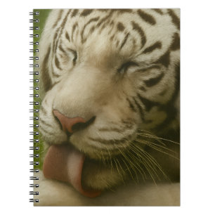 Cuaderno Tigre blanco en ritual de cultivo privado