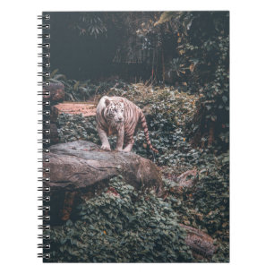CUADERNO TIGRE BLANCO SOBRE PIEDRA GRIS