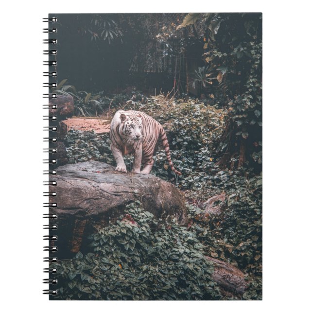 CUADERNO TIGRE BLANCO SOBRE PIEDRA GRIS (Frente)
