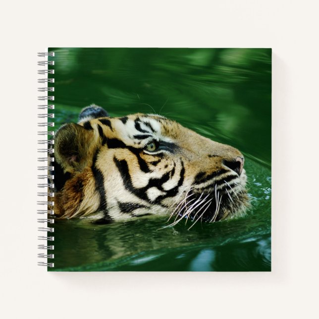 Cuaderno Tigre de Malasia nadando en la cabeza (Anverso)