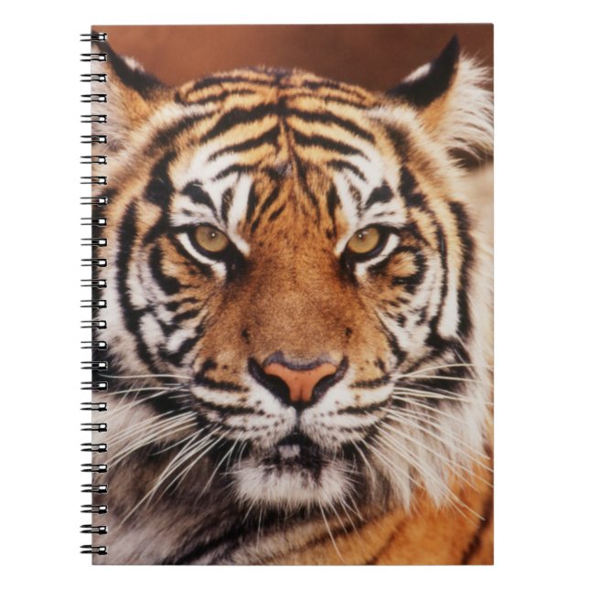 Cuaderno Tigre de Sumatra (Frente)
