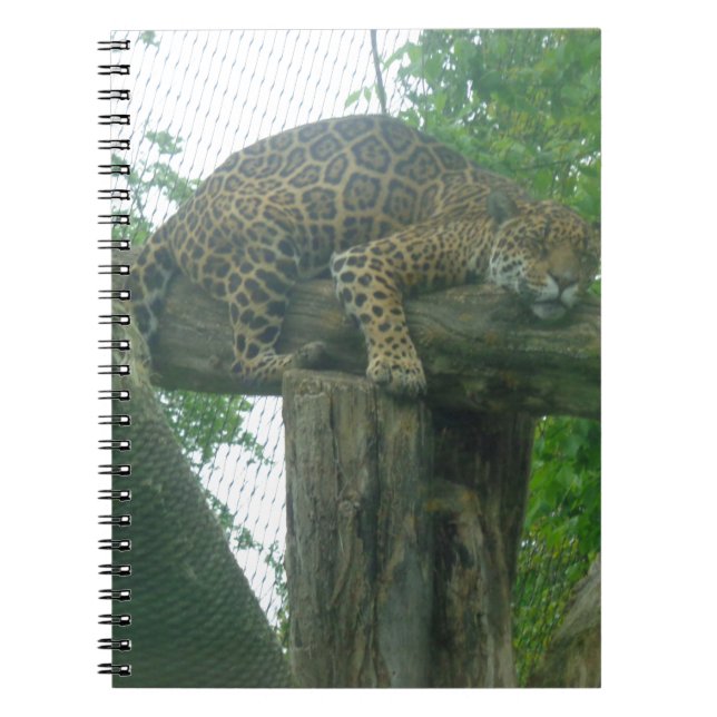 Cuaderno Tigre durmiente sobre árboles, bosques, naturaleza (Frente)