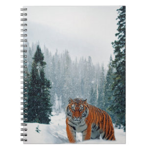 Cuaderno tigre en la nieve