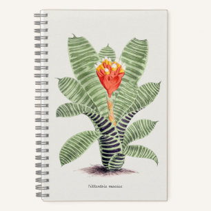 Cuaderno Tillandsia Musaica