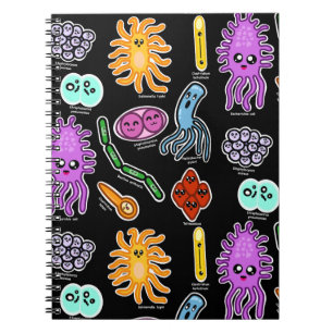 Cuaderno Tipos De Bacterias