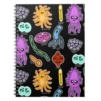 Cuaderno Tipos De Bacterias