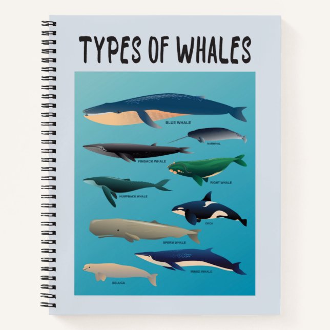 Cuaderno Tipos de ballenas Océano Variedad Mammal (Anverso)