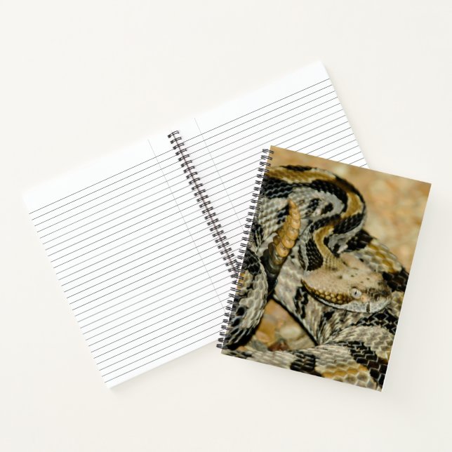 Cuaderno Tirador de madera en frío (Interior)