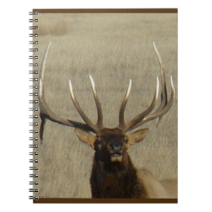Cuaderno Tiro en la cabeza de alce toro E29