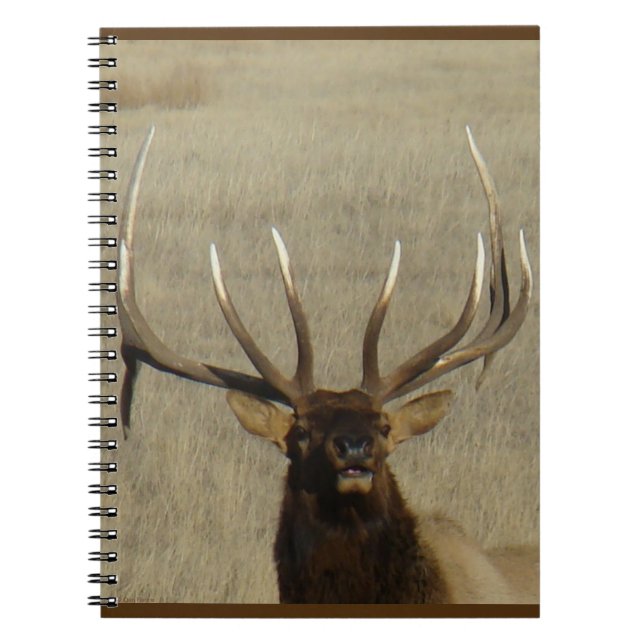 Cuaderno Tiro en la cabeza de alce toro E29 (Frente)