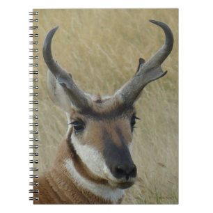 Cuaderno Tiro en la cabeza de antílope berrendo A5