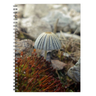 Cuaderno Toadstoide pequeño