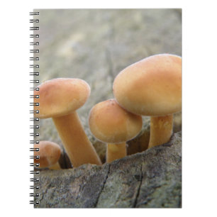 Cuaderno Toadstools en un bloc de notas troncal de árbol