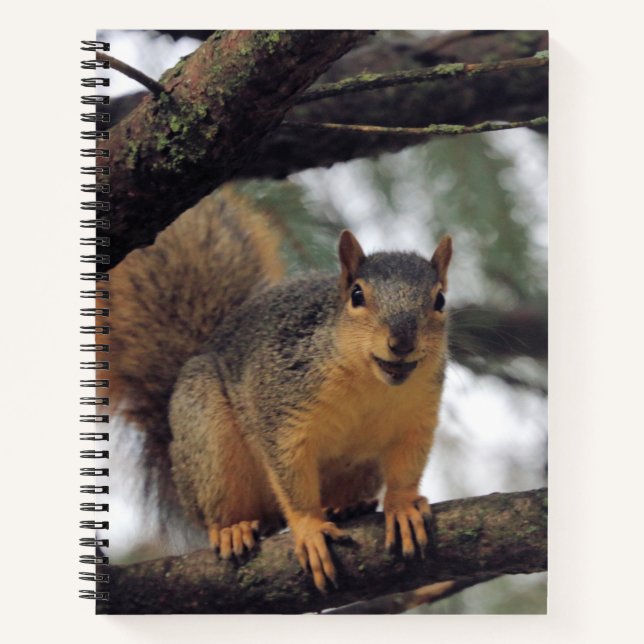 Cuaderno Todas las sonrisas (Anverso)