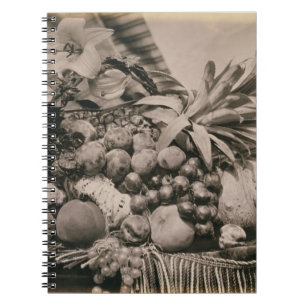 Cuaderno Todavía vida con la fruta, 1860 (foto de la sepia