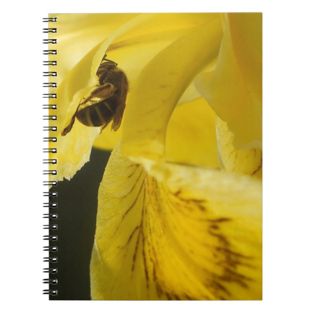 Cuaderno Todo es amarillo (Frente)