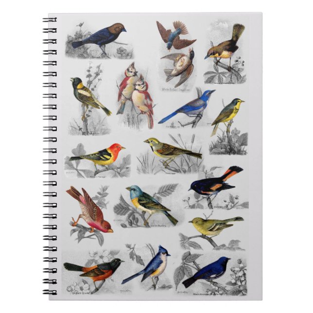 Cuaderno Todo tipo de aves (Frente)