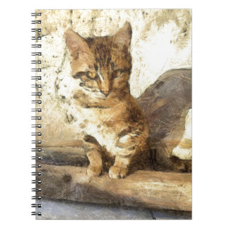 Cuaderno Todos Los Gatos Son Negros En El Borrador De Lápiz
