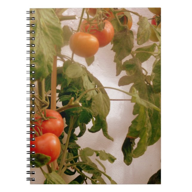 Cuaderno Tomates En Vino (Frente)