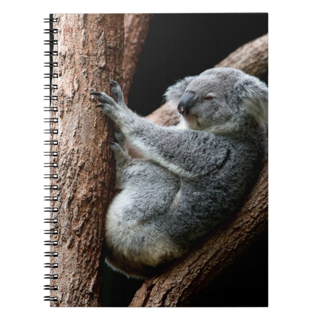CUADERNO TOME SU TIEMPO (Frente)