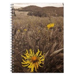 Cuaderno Tono sepia Flores silvestres amarillas