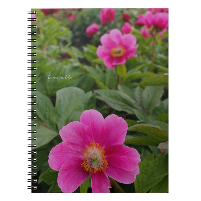 Cuaderno Tonos rosados únicos (Frente)